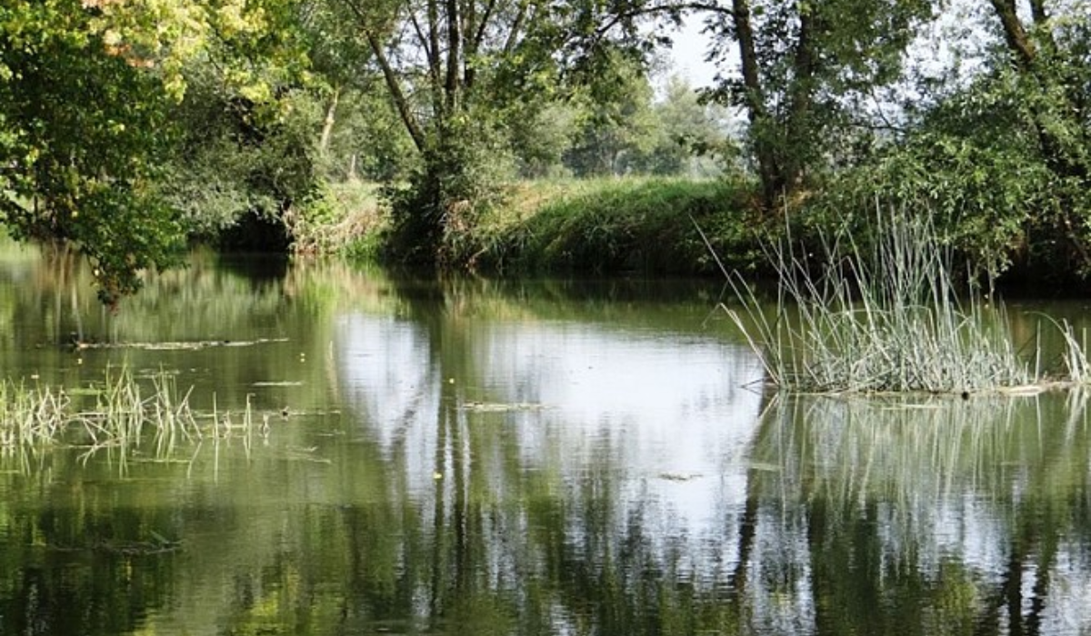 Design sans titre (16)